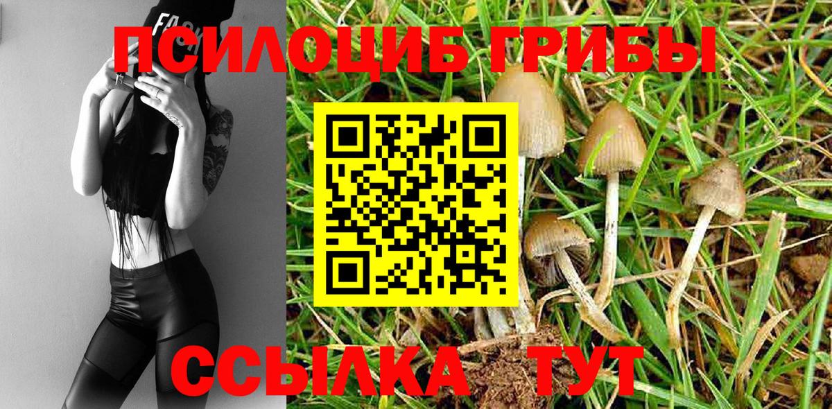 Галлюциногенные грибы Magic Shrooms Торжок