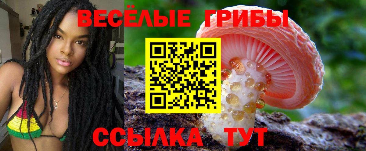 Торжок  Галлюциногенные грибы MAGIC MUSHROOMS  Вход с VPN 