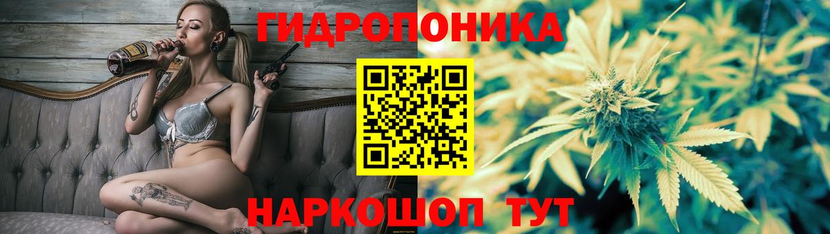 Бошки марихуана Ganja Торжок